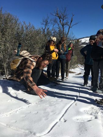winter wildlife tracking Hike & Learn event