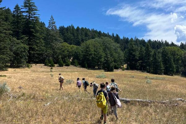 The Crest summer campers exploring meadow along the Greensprings Loop Trail