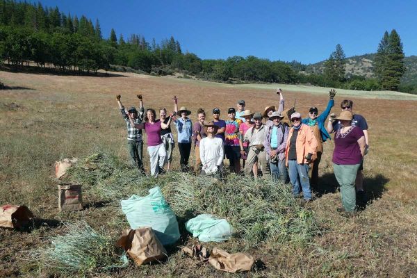 volunteers after removing invasive plants from meadow in Cascade-Siskiyou National Monument