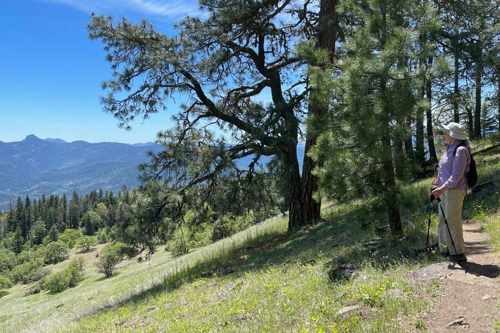 hiker on the Greensprings Loop Trail