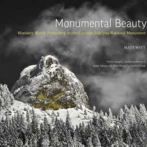 Book - Monumental Beauty