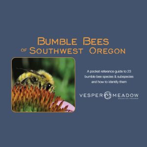 Bumble Bees of Southwest Oregon by Vesper Meadow Education Program