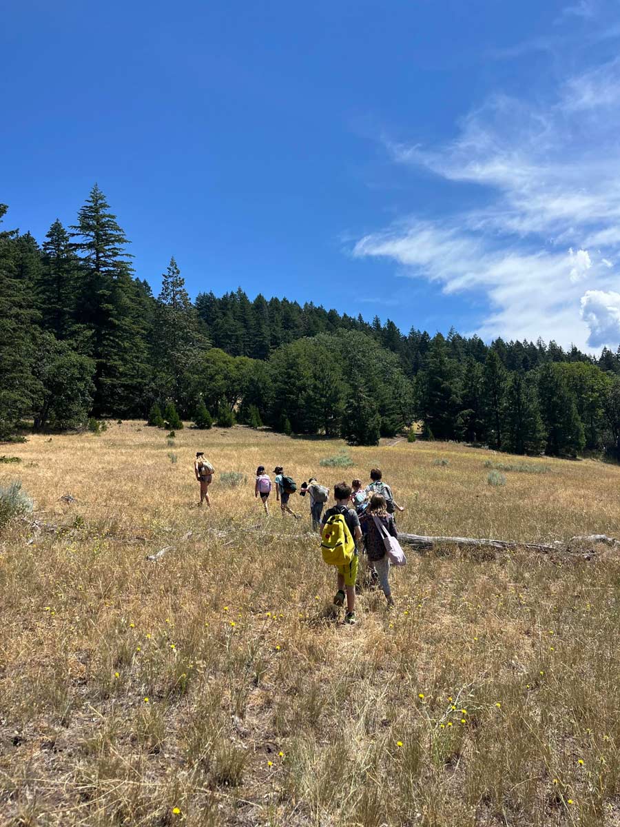 The Crest summer campers exploring meadow along the Greensprings Loop Trail