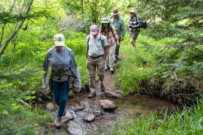 guided outing to hike at Lost Creek