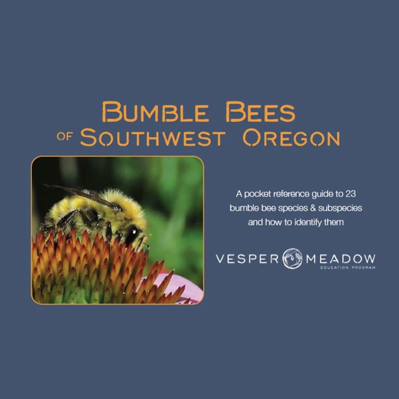 Bumble Bees of Southwest Oregon by Vesper Meadow Education Program