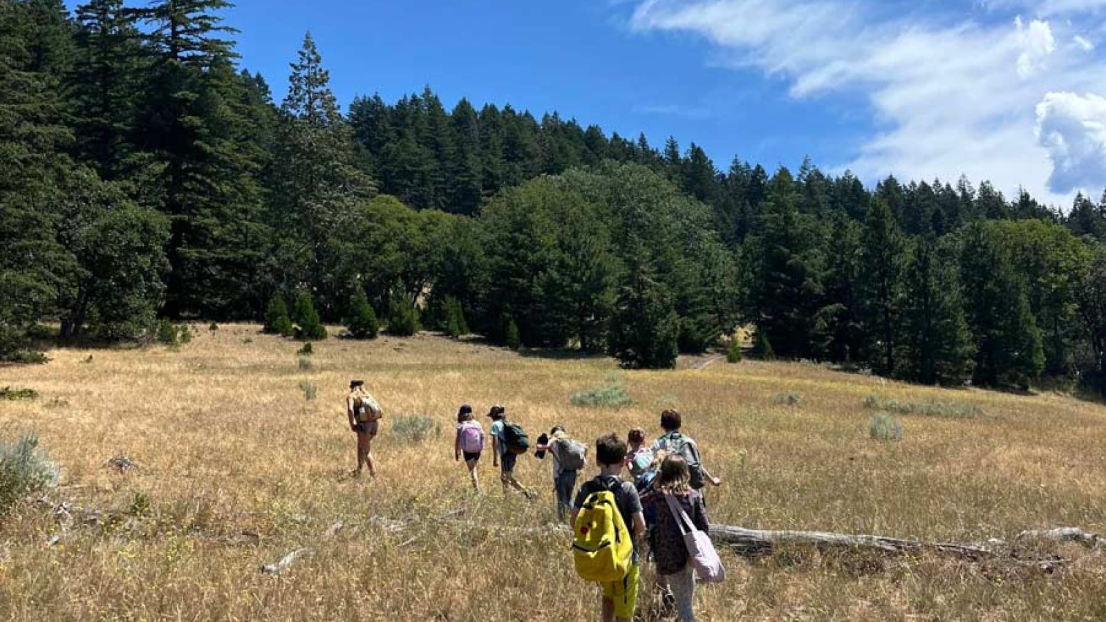 The Crest summer campers exploring meadow along the Greensprings Loop Trail