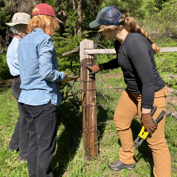 volunteers removing unwanted fencing on public lands