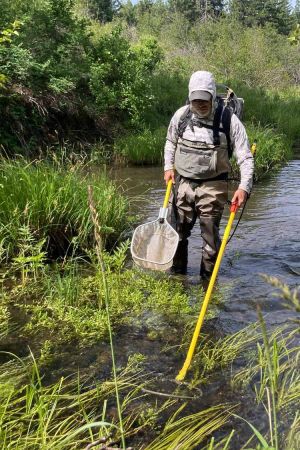 fish monitoring at Jenny Creek