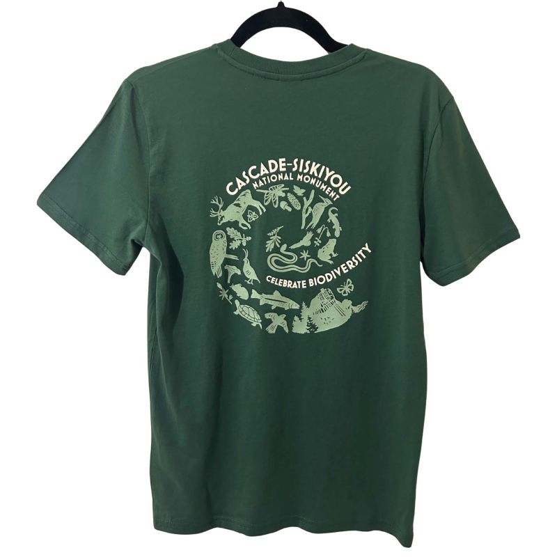 back of organic cotton unisex t-shirt in glazed green with celebrate diversity design