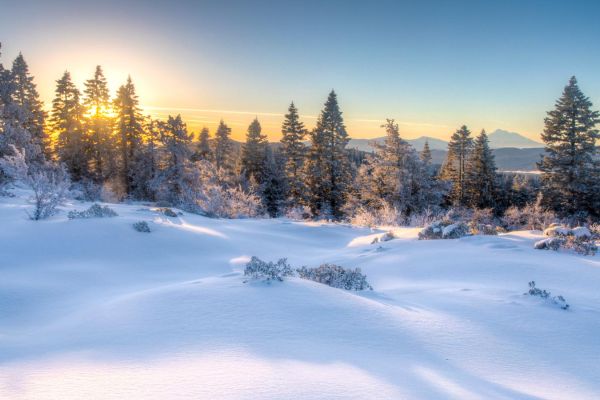 sunny winter day in snow-covered forest in Cascade-Siskiyou National Monument