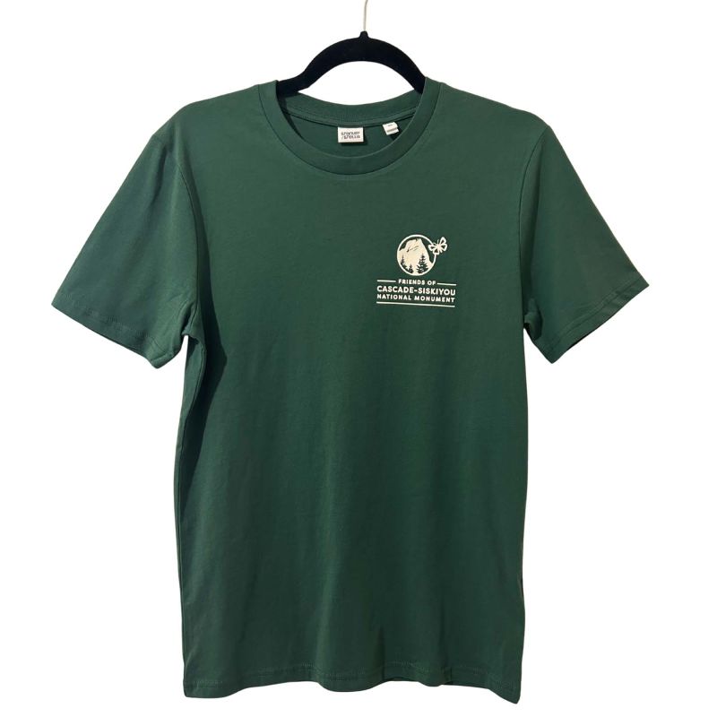 front of organic cotton unisex t-shirt in glazed green with celebrate diversity design